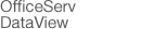 OfficeServ DataView